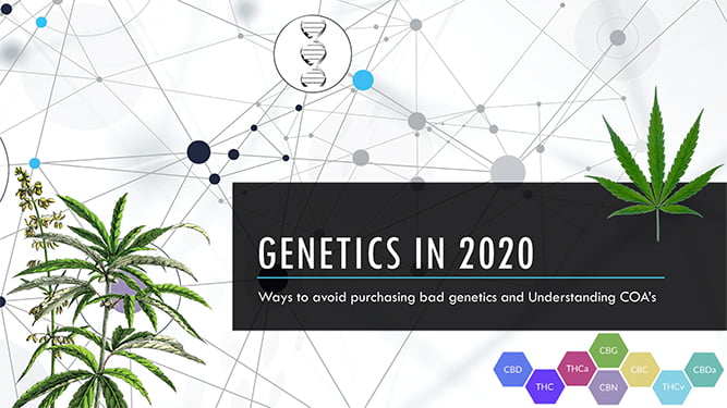 Genetics in 2020 webinar