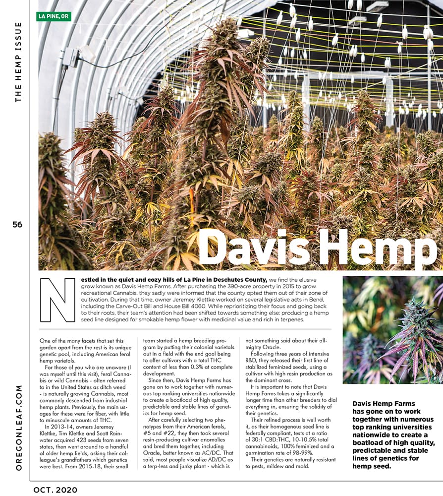 Oregon Leaf October 2020 page 56 featuring a greenhouse of Purple Emperor Hemp