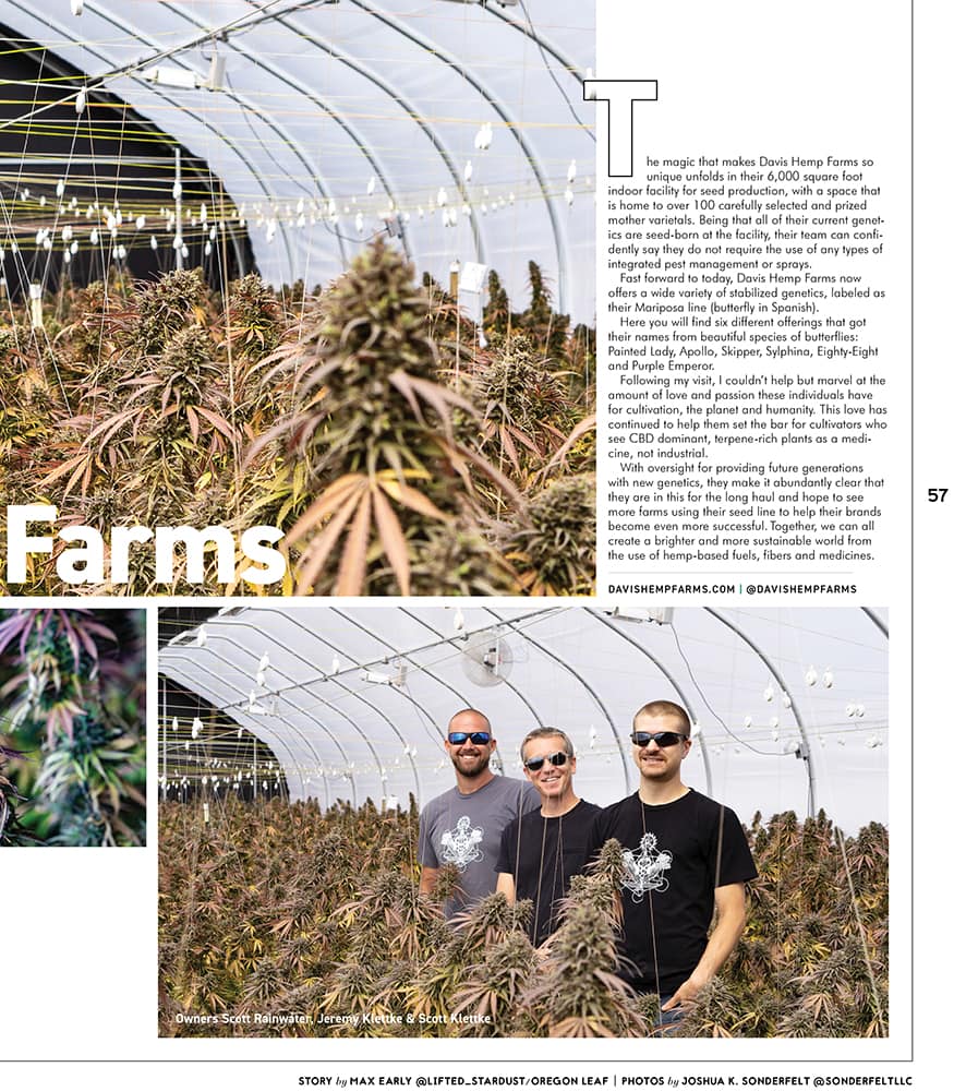 Oregon Leaf October 2020 page 57 featuring a greenhouse of Purple Emperor Hemp