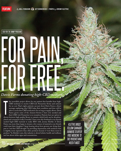 Oregon leaf november 2015 for pain for free