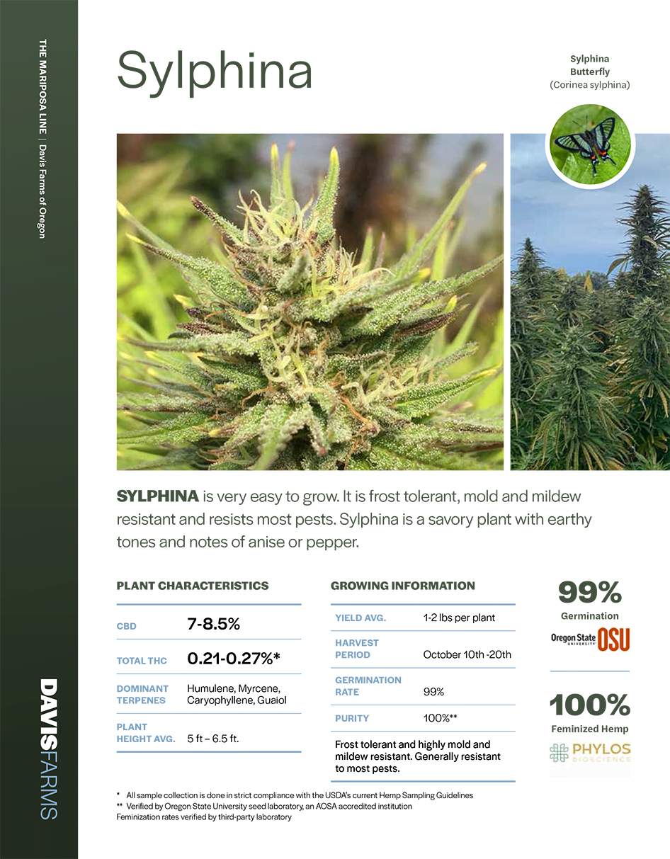 Sylphina hemp lab results Cover 