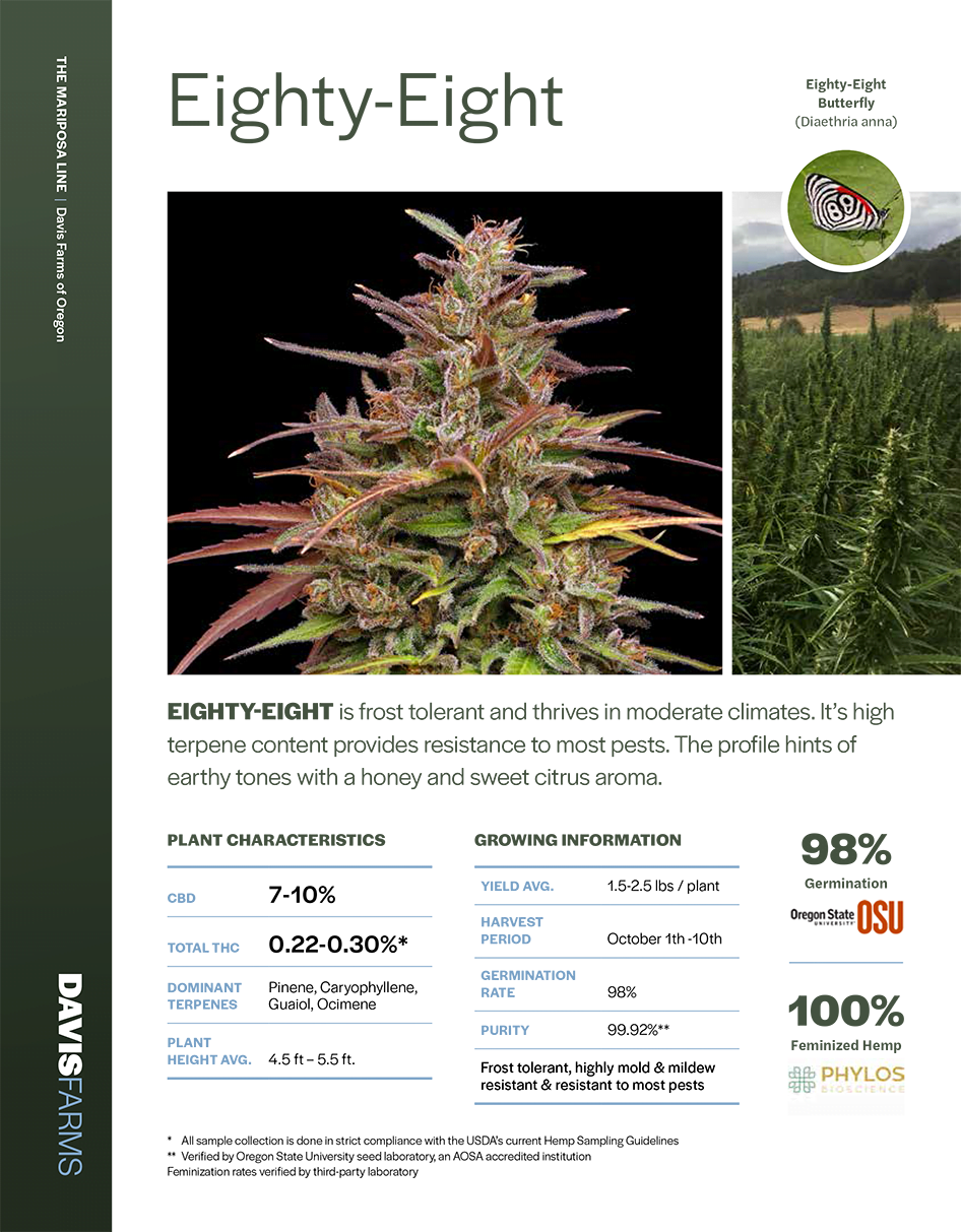Eighty Eight Hemp lab results Cover