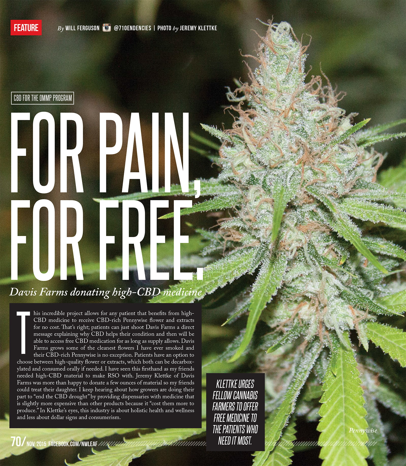 Oregon leaf november 2015 for pain for free