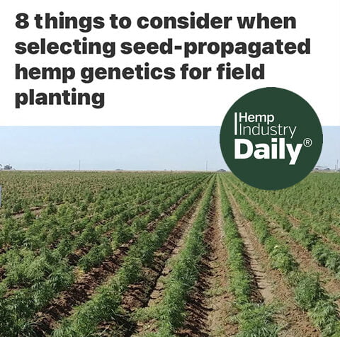 Picture of a hemp feild and the cover to things to consider article