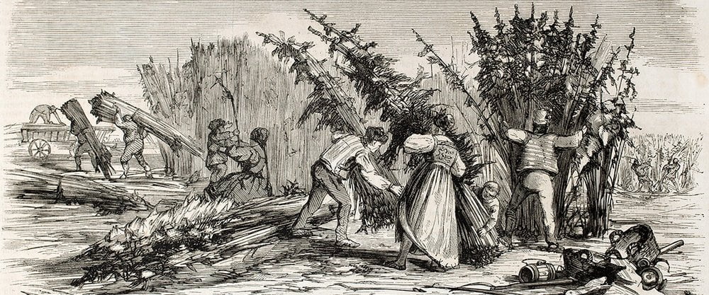 Drawing depicting the harvesting of a hemp crop
