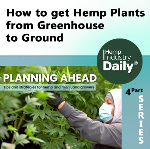 cover to hemp industry daily article how to get greenhouse plants into the ground