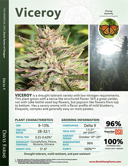 Viceroy